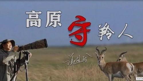 八卦大驴爆料视频大全集,视频大全集精彩内容抢先看